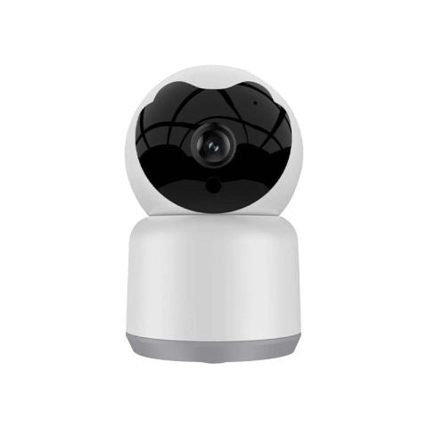 Camera de Surveillance 