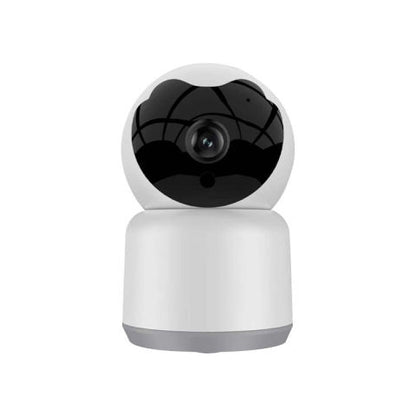 Camera de Surveillance 