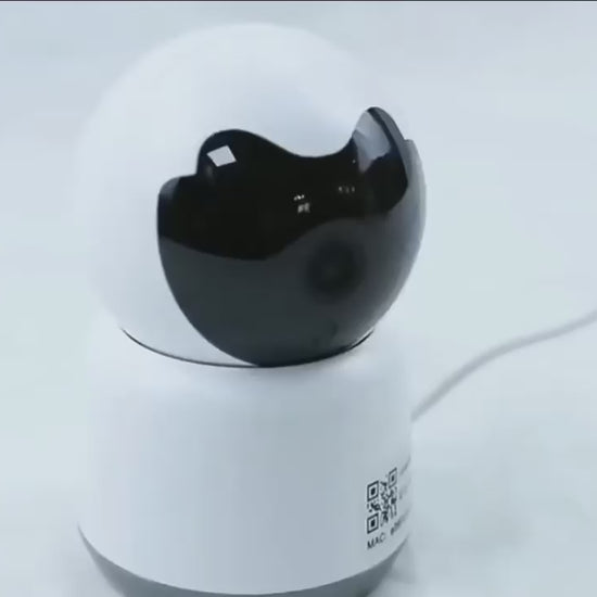 Camera de Surveillance 