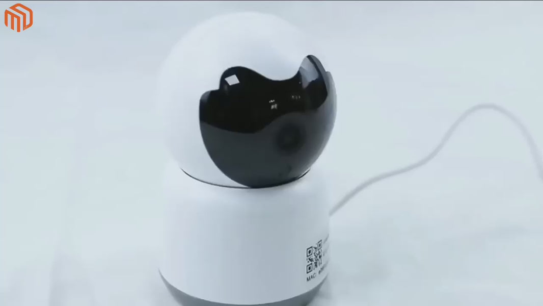 Camera de Surveillance 