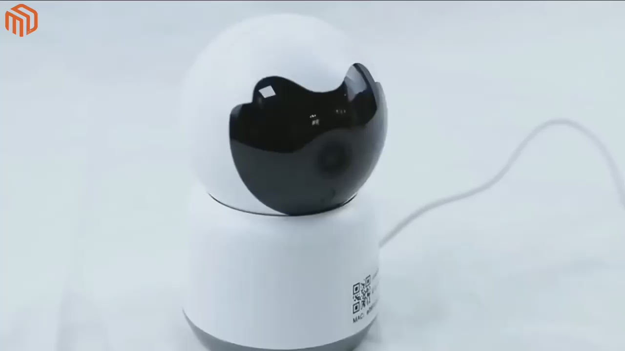 Camera de Surveillance 
