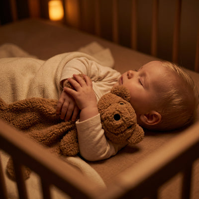 ours en peluche
